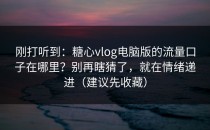 刚打听到：糖心vlog电脑版的流量口子在哪里？别再瞎猜了，就在情绪递进（建议先收藏）