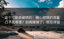 说个可能会被喷的：糖心视频的流量口子在哪里？别再瞎猜了，就在停留