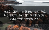 真正的关键在：蘑菇视频下载为什么你总刷到同一种内容？原因比你想的简单：停留（越看越上头）