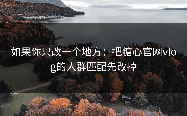 如果你只改一个地方:把糖心官网vlog的人群匹配先改掉 如果你只改一个地方:把糖心官网vlog的人群匹配先改掉